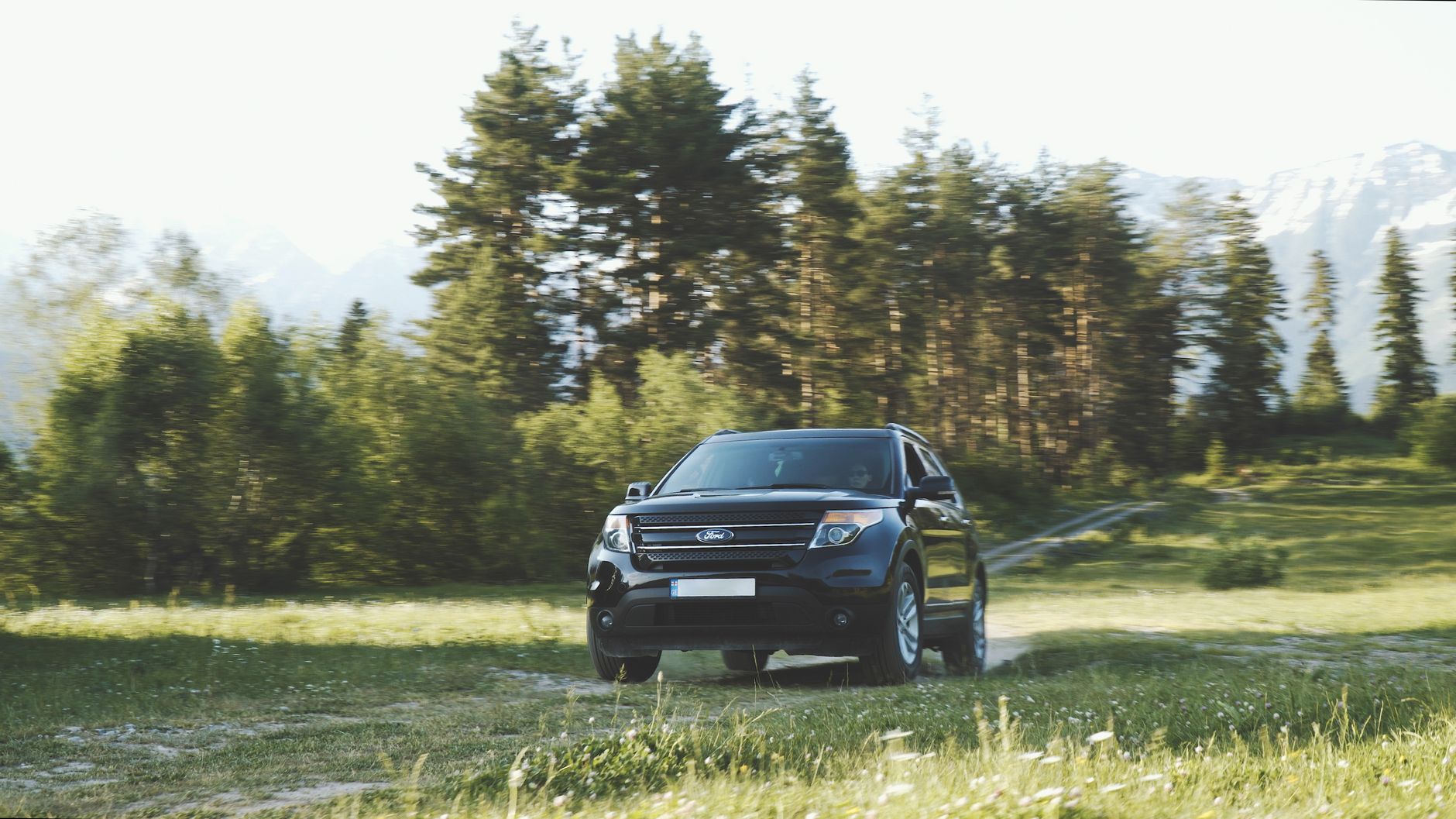 Ilustrasi: A black SUV driving on a dirt road in a scenic forest setting.